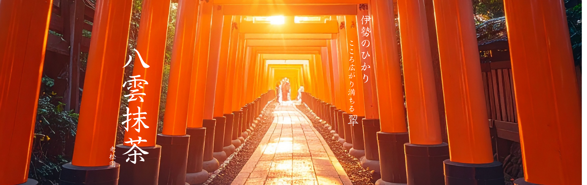 抹茶特設ページ メインビジュアル